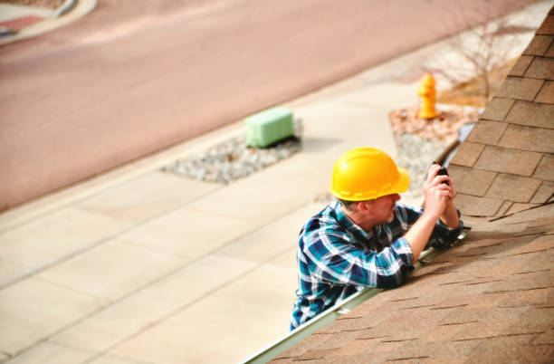 Best Metal Roofing Contractor  in Genoa City, WI